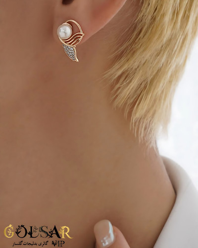 گوشواره دم وال رنگ ثابت و ضد حساسیت آلیاژ استیل با آبکاری طلا کیفیت بالا